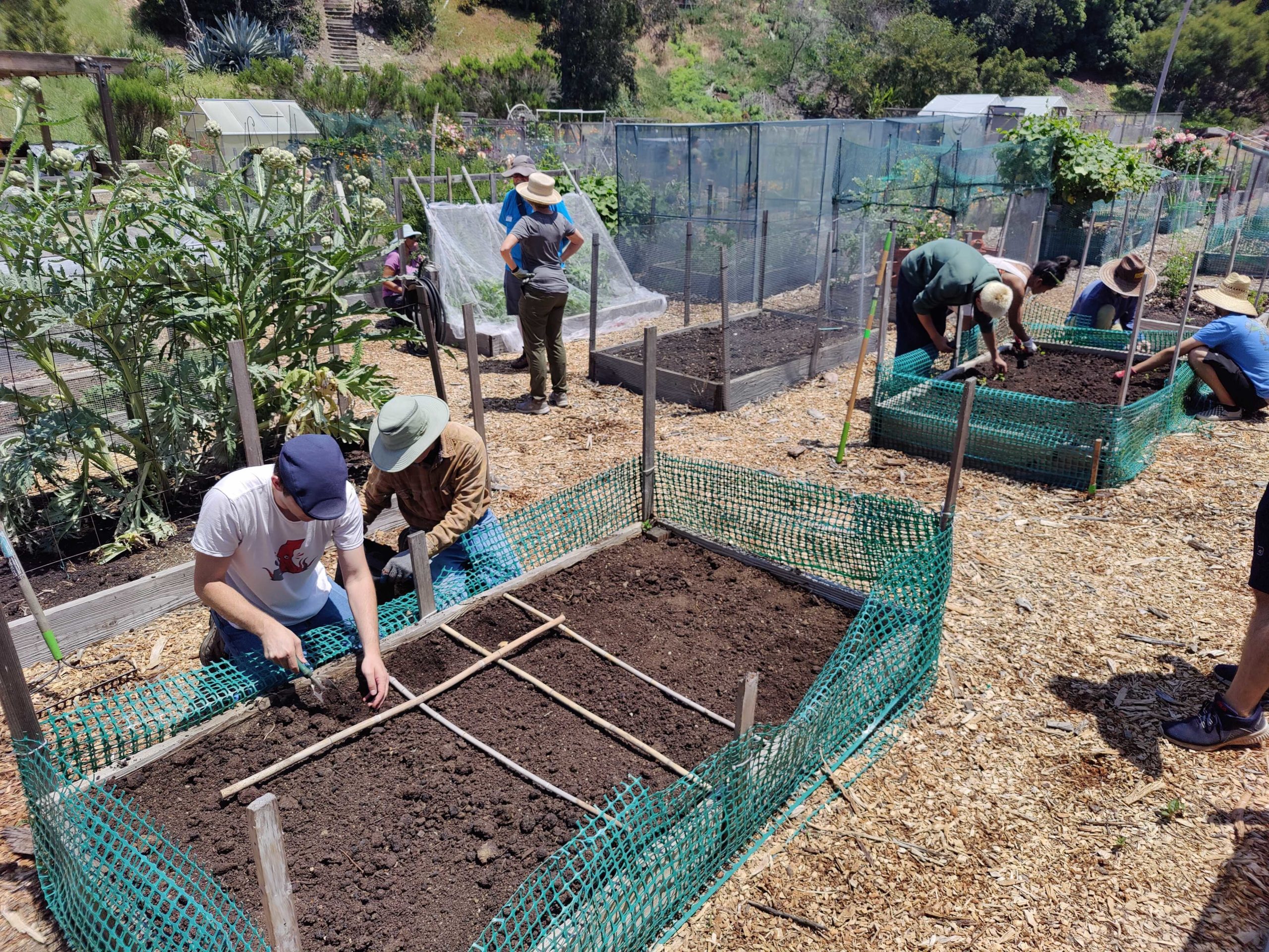 DSA San Diego launches plot to feed the community