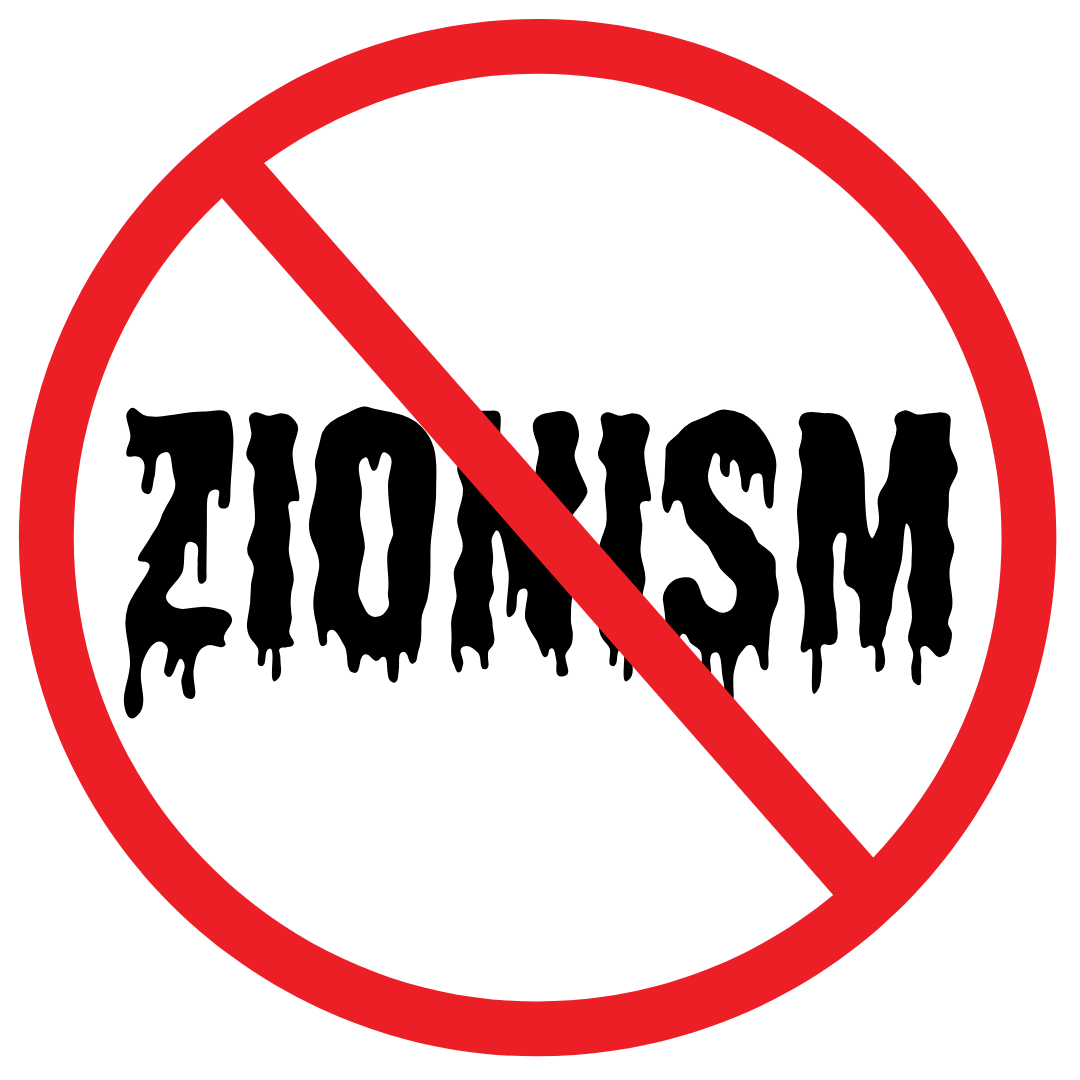 DSA San Diego Passes Anti-Zionist Resolution